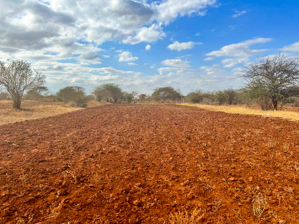 Amani Gardens Phase 2; 50x100 Land & Plots for sale in Kithyoko