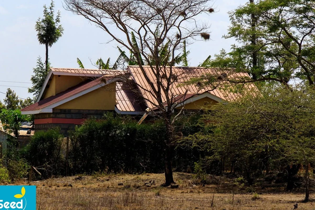 Olive Gardens Phase 8 Thika Salama photo 5, Salama