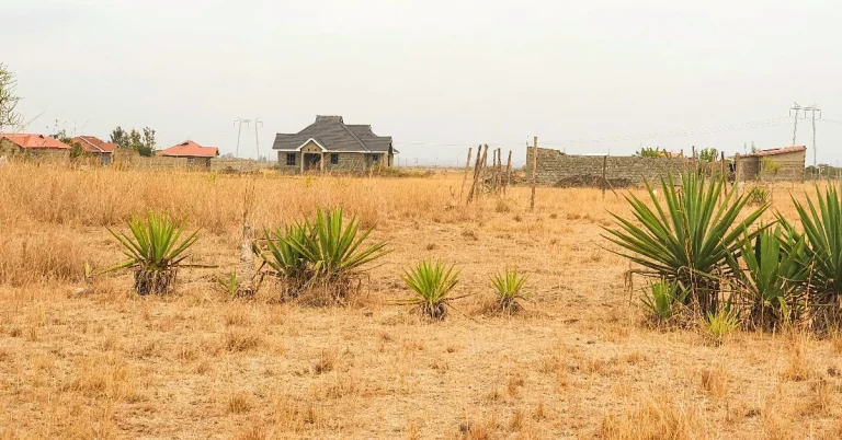 Plots for Sale in Thika – Olive Court Phase 2
