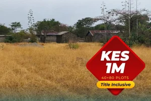 Olive Gardens Phase 8 Thika Salama – photo 3