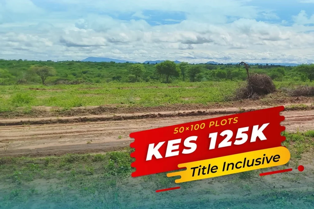 Amani Gardens Phase 7 Kithyoko Kwa Muthusi – photo 1